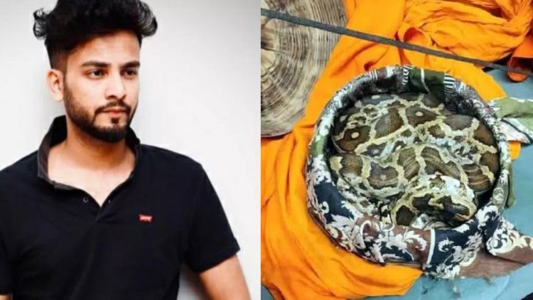सपेरों और एल्विस का आमना-सामना करा सकती है नोएडा पुलिस, जानिए केस की पूरी जानकारी