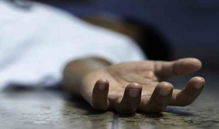 नोएडा की यूनिवर्सिटी कैंपस में फॉर्च्युनर से हिट एंड रन