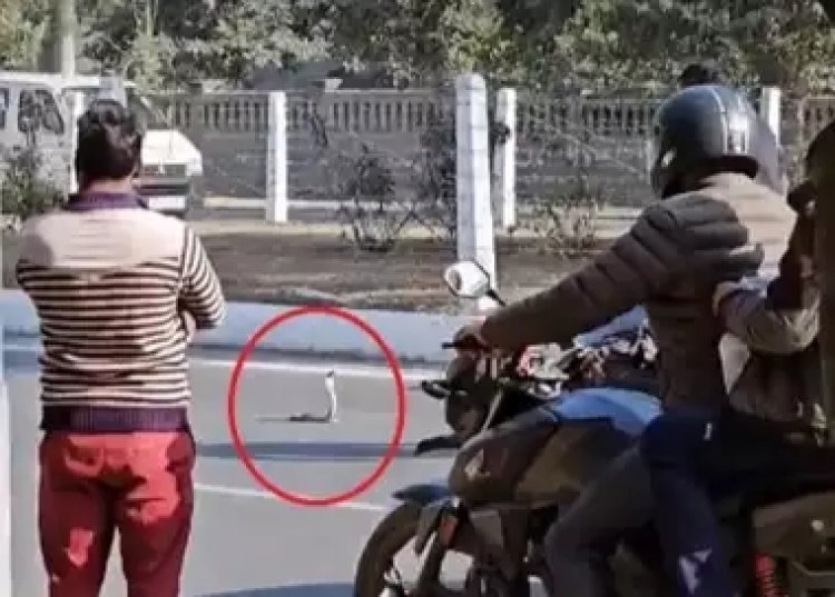 ग्रेटर नोएडा से हैरान कर देने वाली खबर