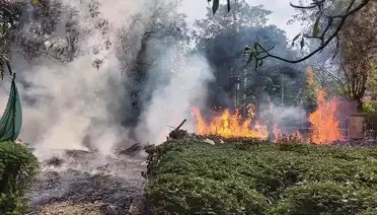 नोएडा सेक्टर-50 के मेघदूतम पार्क में लगीं भयानक आग