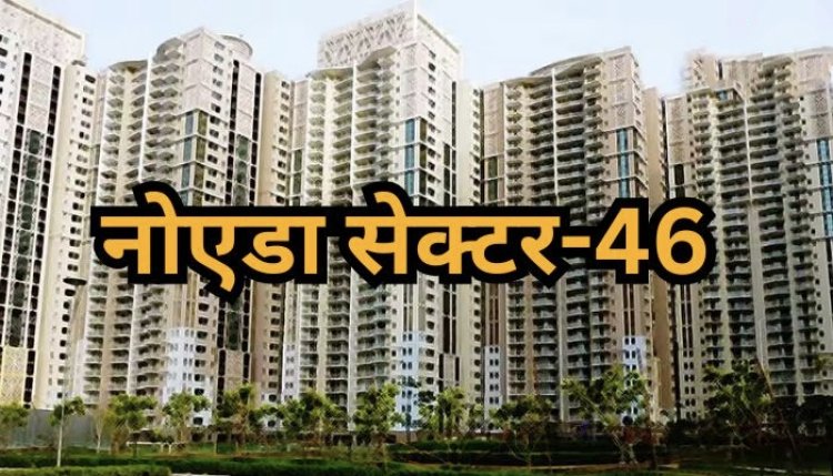 सेक्टर-46 में 2 प्लॉटों को नियमों के विरुद्ध जोड़कर कराया निर्माण, पेड़ भी काटे