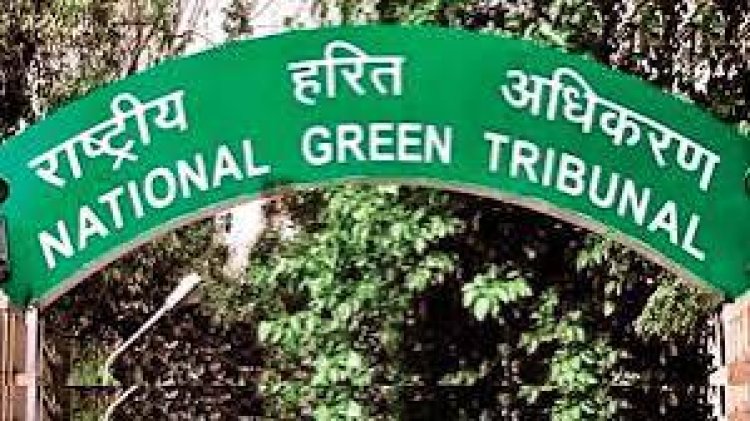 ग्रेटर नोएडा की सोसाइटी में गंदा पानी पीने से 300 पड़ गए बीमार, NGT ने अफसरों को तलब किया
