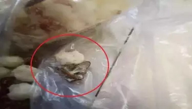 नवरात्र में बाजार से व्रत का सामान लेते वक्त रहिए सावधान, नमकीन के पैकेट में निकला मरा हुआ मेंढक