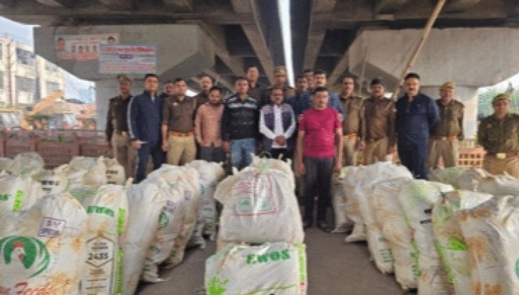 ओडिशा से नोएडा आ रहा था 9 करोड़ के गांजे से भरा डंपर, आगे-आगे चल रही थी ईको स्पोर्ट्स कार, फिर क्या हुआ?