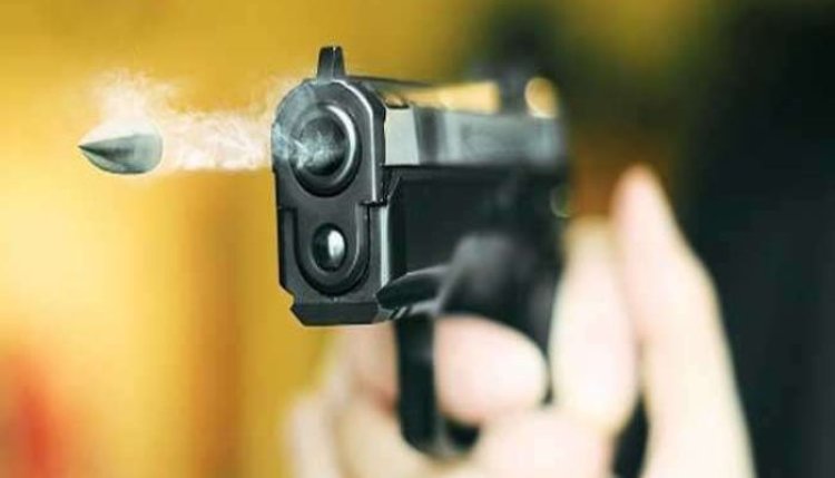 नोएडा के अलग-अलग क्षेत्रों में एनकाउंटर, पुलिस की गोली लगने से ‘नेवला O’ घायल
