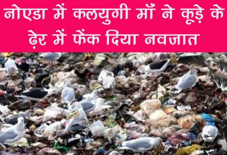 नोएडा में कलयुगी माँ ने कूड़े के ढेर में फेंक दिया नवजात